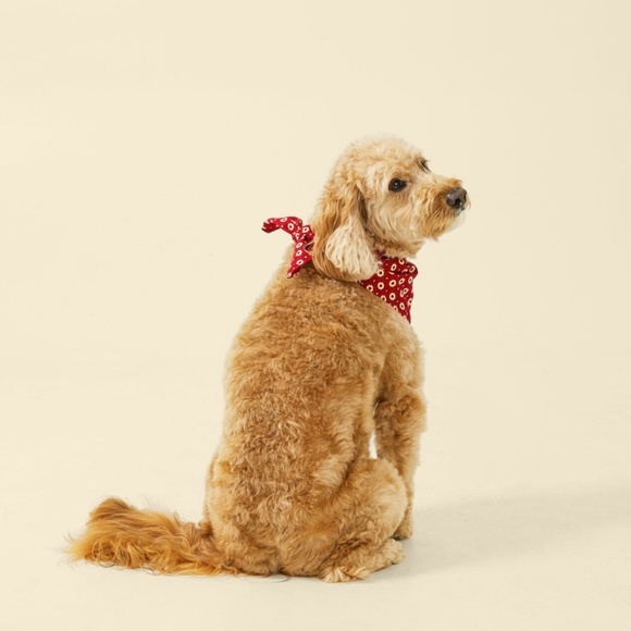 NWT Altar'd State Beware of Wiggle Butts Dog Cat Pet Bandana Red - Picture 4 of 9